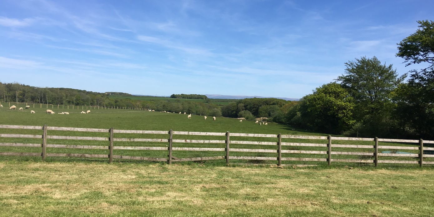 caravans for sale at Chelsfield Farm in Launceston Cornwall